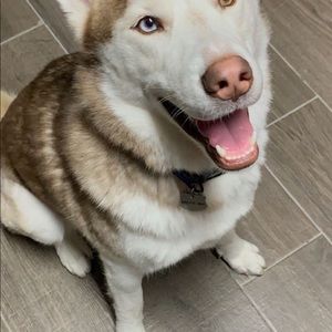 Meet your Posher, Hung